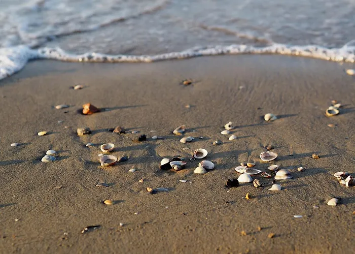 Apartman Flat With A Spacious Sunny Terrace - Beahost Bibione